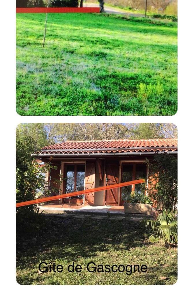 לקטור Le Gite De Gascogne מראה חיצוני תמונה